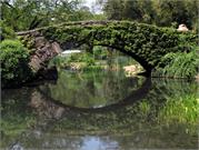 central park bridge 2